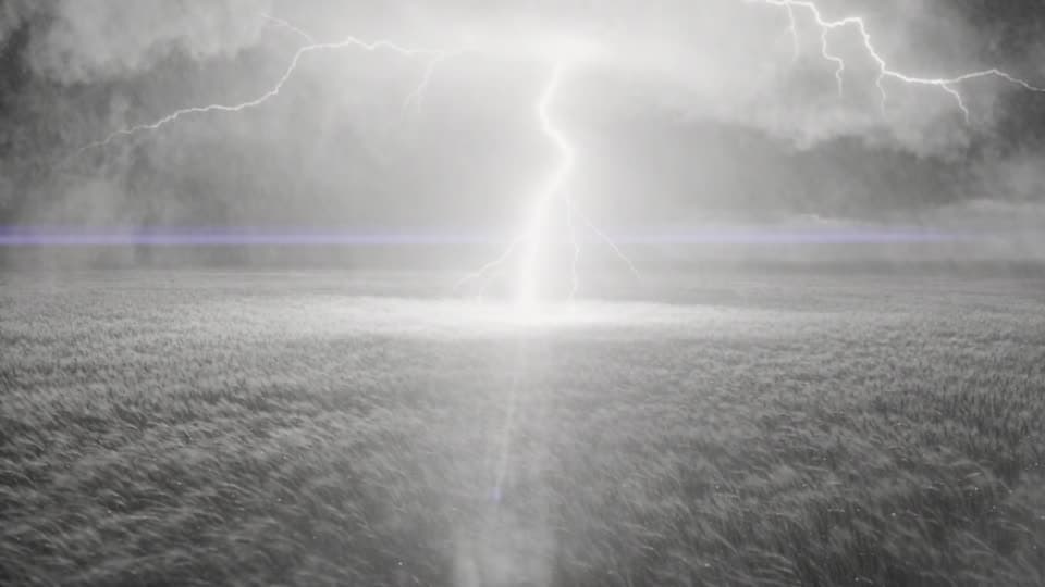 A lightning bolt splitting the sky over a field of tall grass