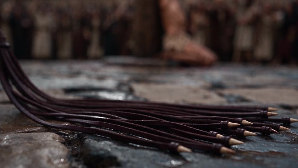 The whip lying on the cobblestones, the crowd out of focus behind