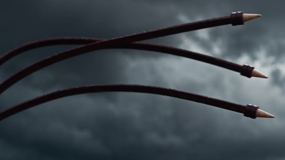 The tips of the whip flying through a grey storm sky