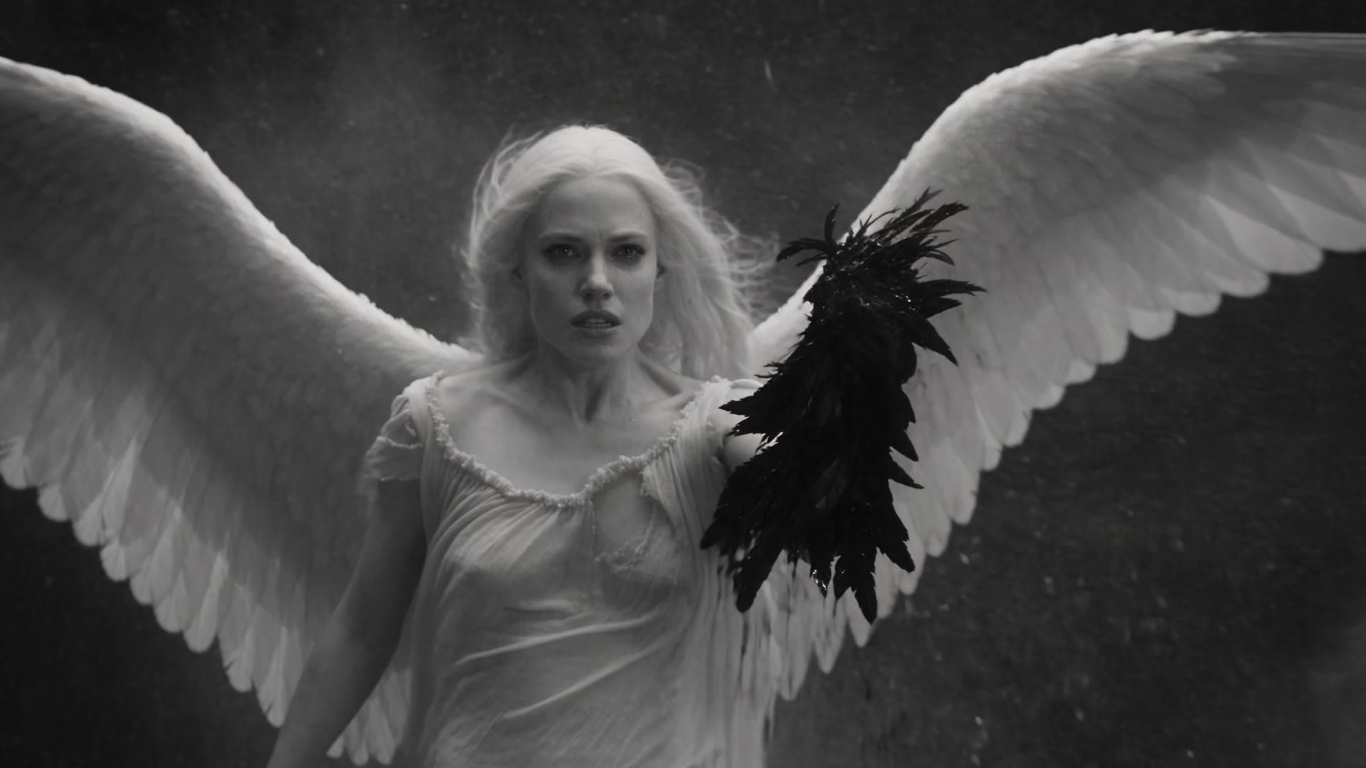 The white angel hanging in the storm, holding the dark angel’s torn black wing