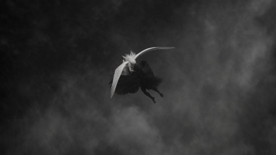 Shot 1: Locked together, they plunge through a vortex of clouds.