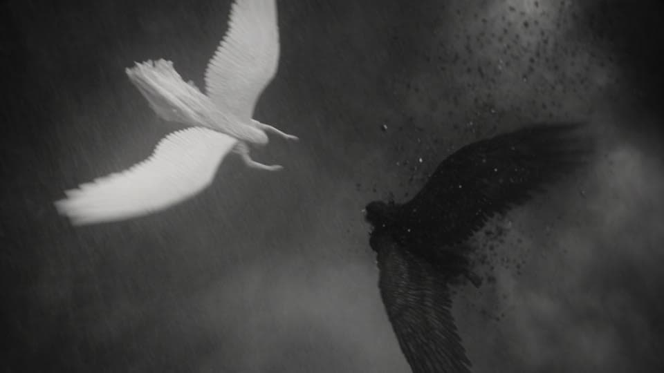 Shot 6: She dives after him, wings folded like a blade.