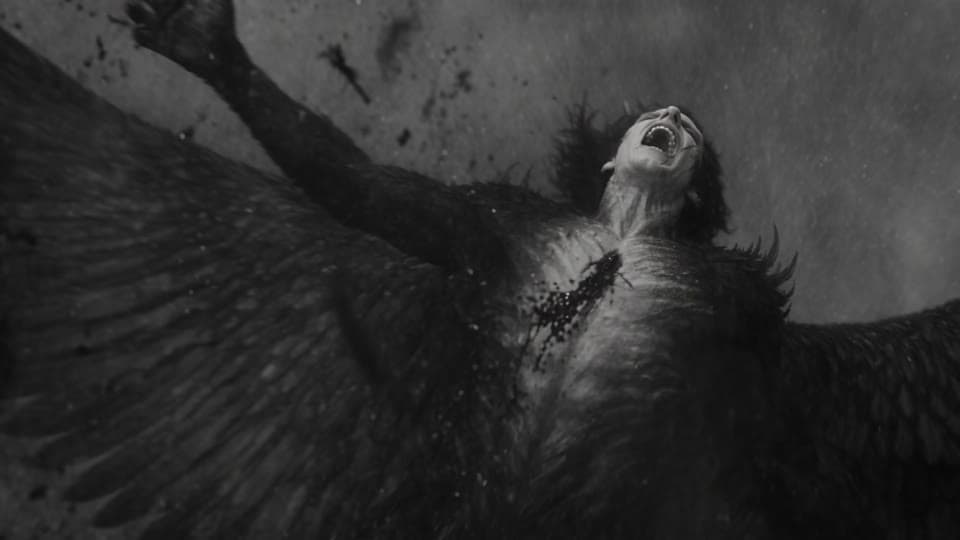 The dark angel screaming as black feathers burst from his back