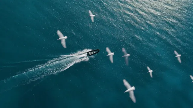 Frame from The Escape — Jungle, Lagoon, and Open Sea