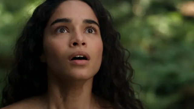 Frame from the film