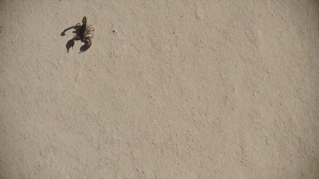 Frame from the film